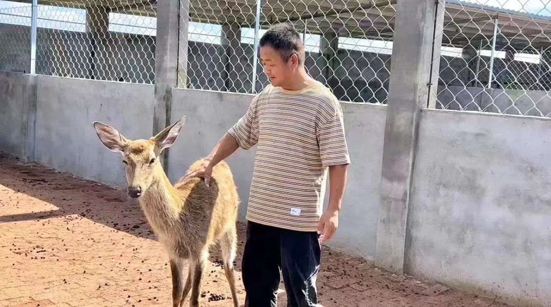 ope平台